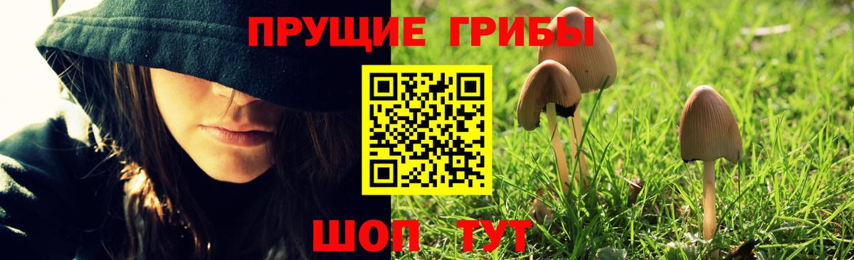 хочу   Псилоцибиновые грибы мицелий  Ленинск-Кузнецкий  Вход с VPN  Псилоцибиновые грибы ЛСД 