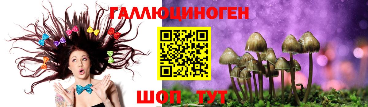Галлюциногенные грибы GOLDEN TEACHER Ленинск-Кузнецкий